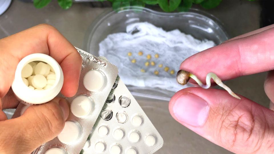 ��� ��� �������� �� ������ �������� ������ ������ � ������� ������ ������