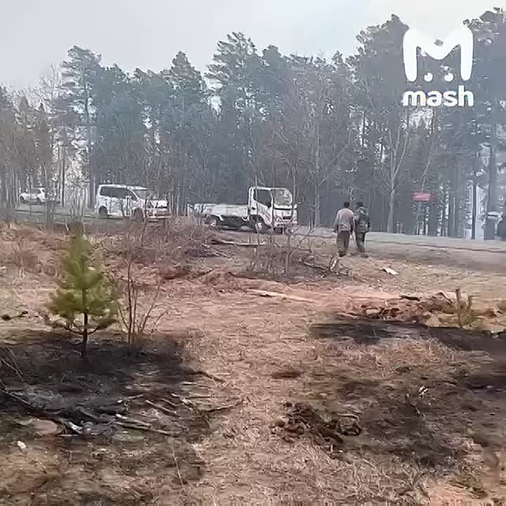      - ,       