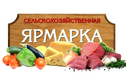   !.   , 17 ,  ,        , 2  ,     