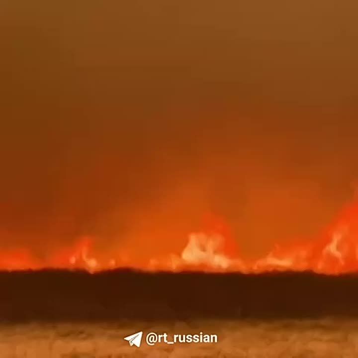 В Забайкалье задержали троих работников местного лесохозяйственного объединения — из-за них произошёл масштабный пожар