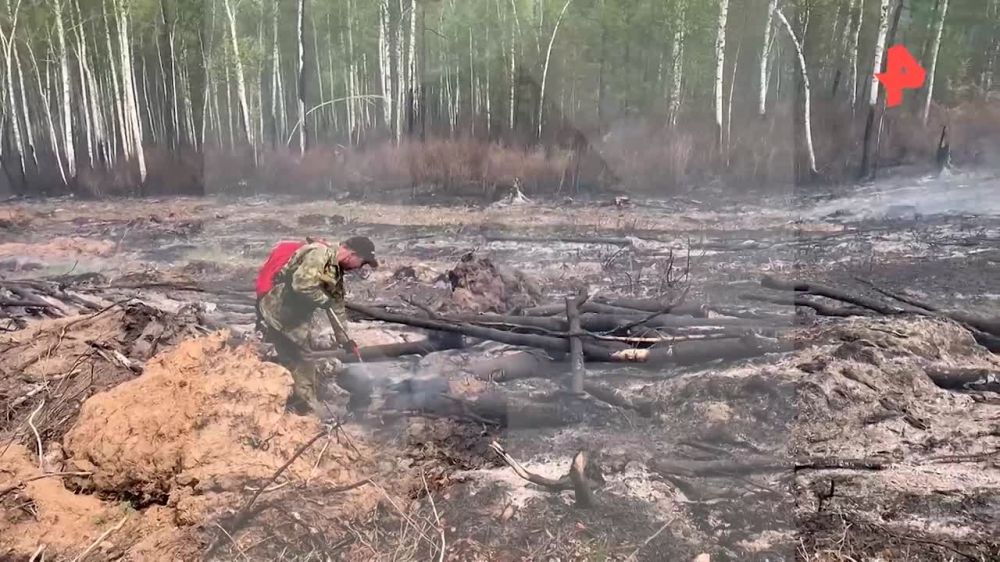 В Забайкальском крае бушует сильный верховой пожар: люди пытаются &quot;отбить&quot; огонь рядом с посёлками Новокручининский и Маккавеево, но все усложняется сильными порывами ветра