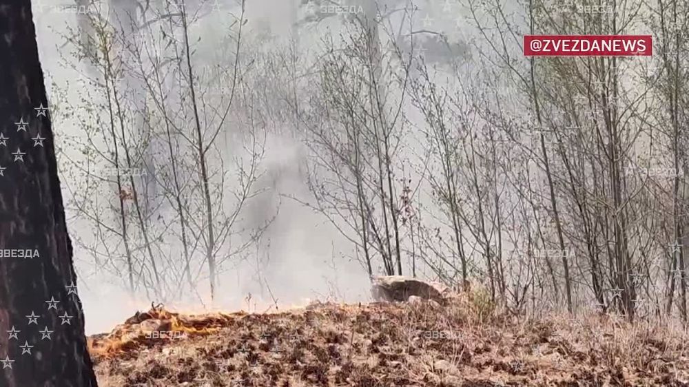 Огонь вблизи поселка Новокручининский в Забайкалье растянулся на 10 километров