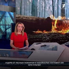 В Минприроды Забайкальского края сообщили: ущерб от природных пожаров составил 459 млн рублей