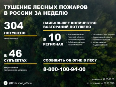 По данным Авиалесоохраны, подведомственной организации Рослесхоза, за прошедшую неделю потушено 304 лесных пожара в 29 регионах России