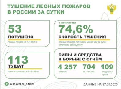 За прошедшие сутки в 17 регионах России потушили 53 лесных пожара