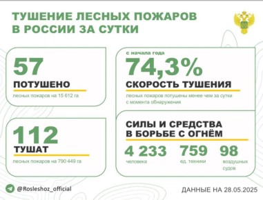 За прошедшие сутки в 23 регионах России потушили 57 лесных пожаров
