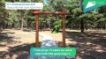 Успевайте голосовать за любимые парки и скверы