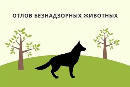 Отлов собак продолжается. За минувшие сутки подрядчиком комитета городского хозяйства администрации городского округа «Город Чита» был организован отлов собак в районе улиц Боровая, 11, Магистральная, 48,Энтузиастов...