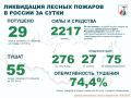 За прошедшие сутки в России потушено 29 лесных пожара в 15 регионах