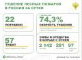 За прошедшие сутки в 9 регионах России потушили 22 лесных пожара