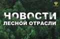 ТАСС: Большую часть природных пожаров в Забайкалье и Бурятии локализовали