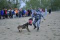 В преддверии профессионального праздника полицейские-кинологи поделились секретами мастерства с кадетами