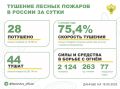 За прошедшие сутки в 7 регионах России потушили 28 лесных пожаров