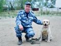 Сегодня, 21 июня, исполняется 116 лет со дня образования кинологической службы МВД России