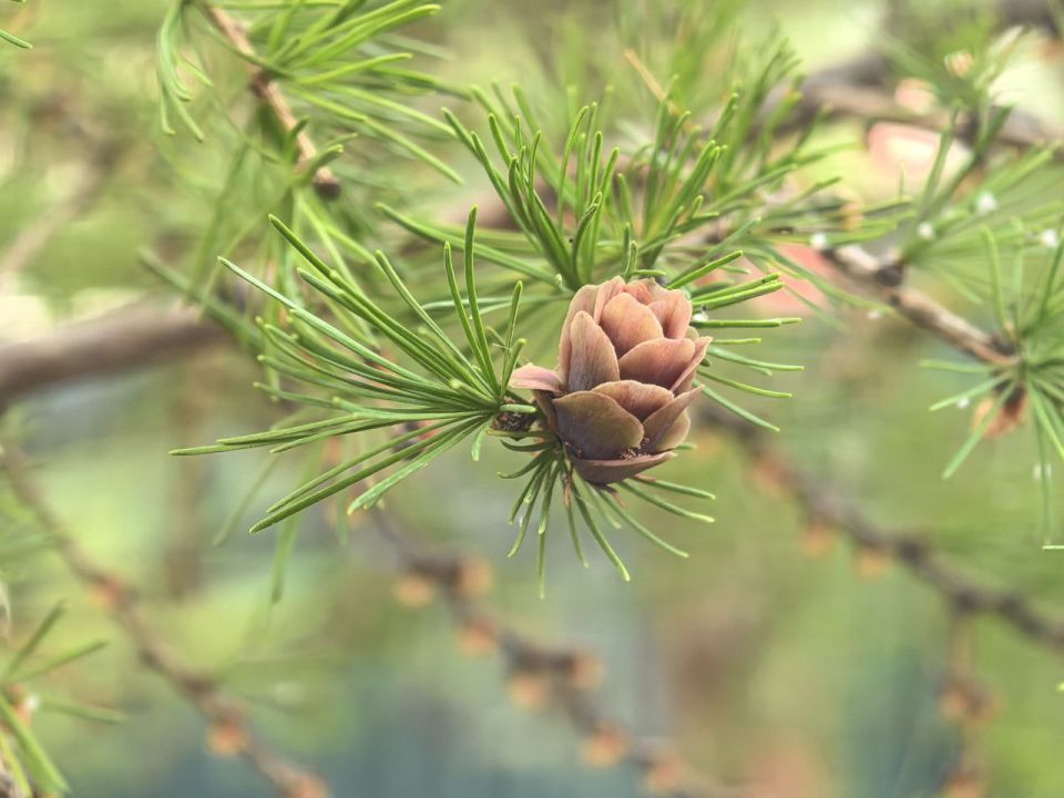       2 :