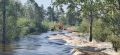 Сравнение уровня воды возле кооператива Шишкино-Остров вчера и сегодня
