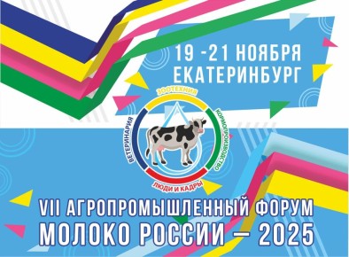         VII    Ȼ 19-21  2025   