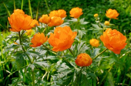  !.    18 