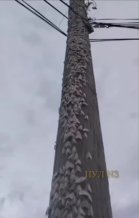   :