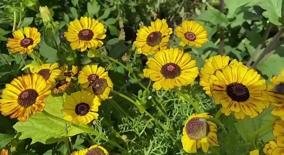  !.  7 