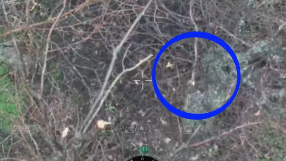      FPV-        