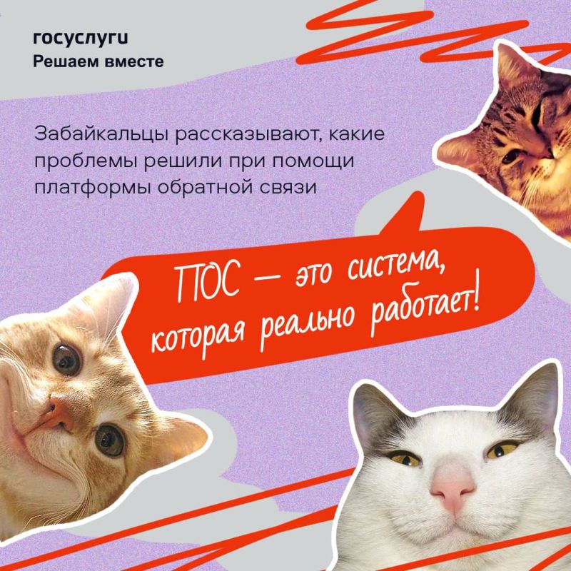                 ,    