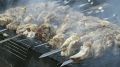 Хорошее мясо, много специй: готовим правильный донской шашлык