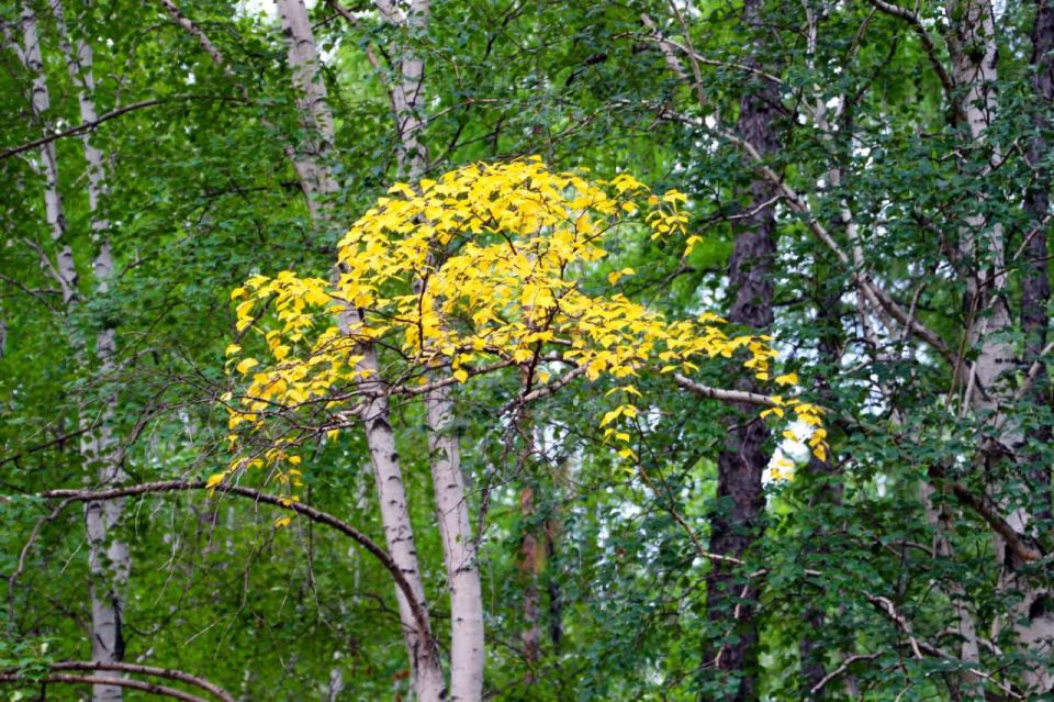  , !.    19 
