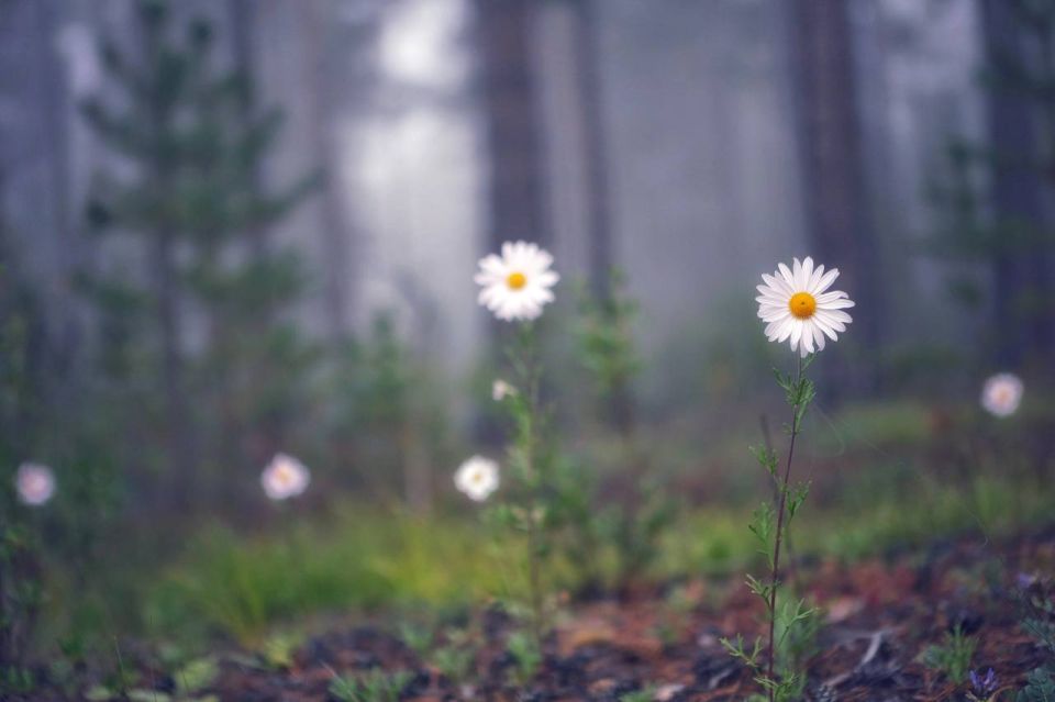 , !. :   @zabrtk