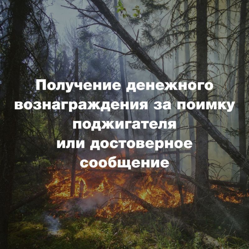 Более 1,8 миллионов рублей получили забайкальцы за сообщения о поджигателях