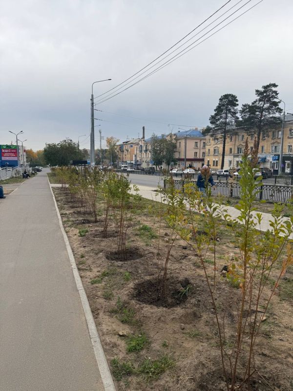Закончили работу по озеленению улицы Новобульварной
