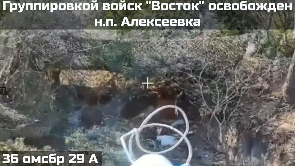 Армия России освободила Алексеевку Днепропетровской области