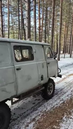 Молодая рысь заглянула в село Акша