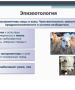 Овечья оспа: угроза для овцеводства или забытая болезнь?