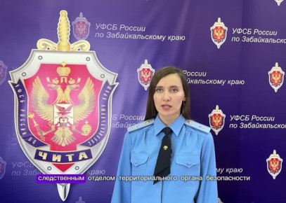 Забайкальца задержали за публичное оправдание терроризма в соцсетях