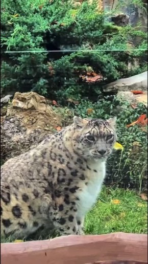  !.         