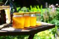 Как отличить хороший мед от плохого: продавцы об этом точно не расскажут