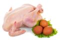 Куриные яйца и мясо подскочат в цене: как новые экологические требования изменят ваш кошелек