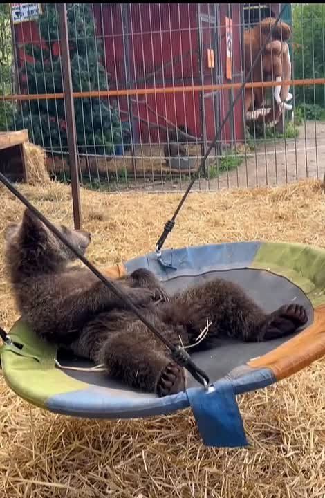  !.      !   -   @zabrtk |   MAX