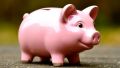 Эксперты призывают россиян к наличным: безопасность вне сети