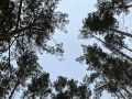 Всем доброго воскресного утра!