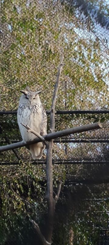  !. ,       ,   &quot;&quot;   