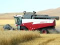 Хозяйства шести округов Забайкалья завершили уборку зерновых культур