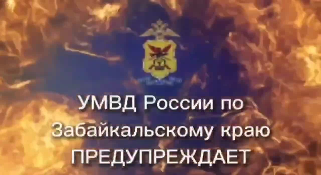 Несуществующие щенок и квартира: полицейские установили подозреваемую в дистанционном мошенничестве, которая, создав зеркальные объявления, обманула двух забайкалок