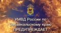 Несуществующие щенок и квартира: полицейские установили подозреваемую в дистанционном мошенничестве, которая, создав зеркальные объявления, обманула двух забайкалок
