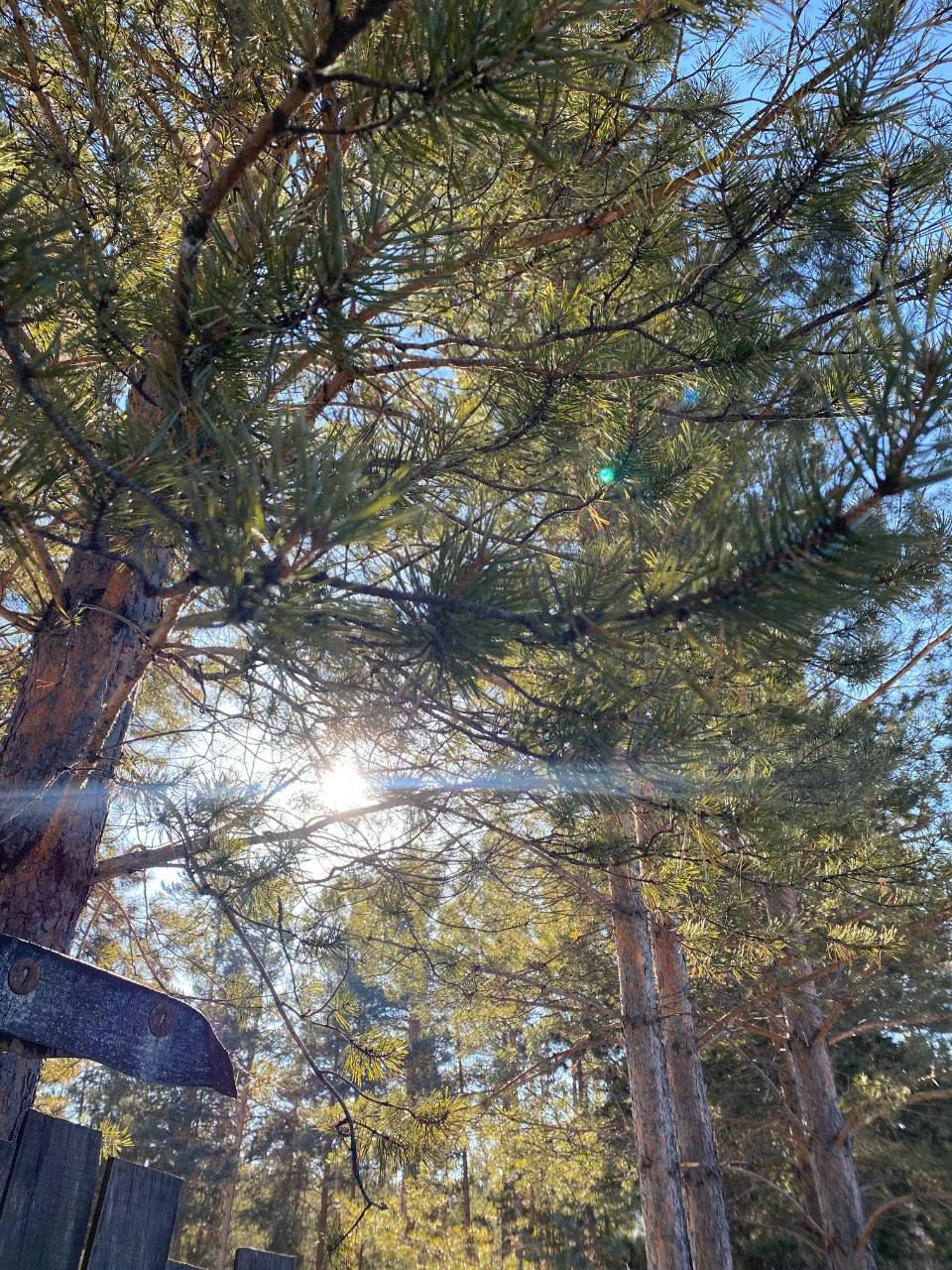 Доброе утро, Чита и читинцы!