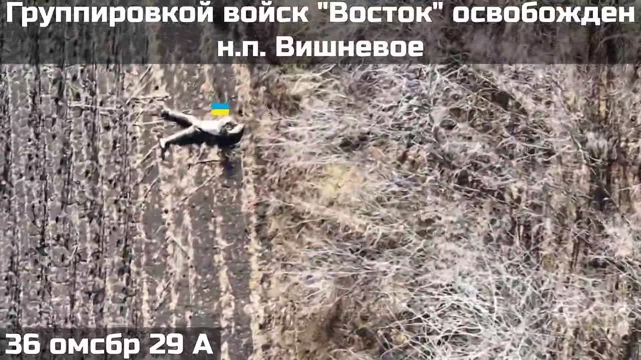 ВОИНАМИ ГРУППИРОВКИ ВОЙСК "ВОСТОК" ОСВОБОЖДЕН НАСЕЛЕННЫЙ ПУНКТ ВИШНЕВОЕ В ДНЕПРОПЕТРОВСКОЙ ОБЛАСТИ