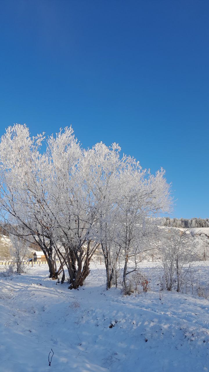 Доброе утро, Забайкалье! Сегодня – четверг, 30 октября Доброе утро, Забайкалье! Сегодня – четверг, 30 октября