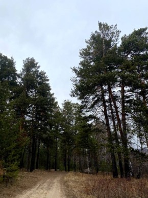 Доброе утро. Пусть ваш день будет наполнен яркими моментами и радостными событиями