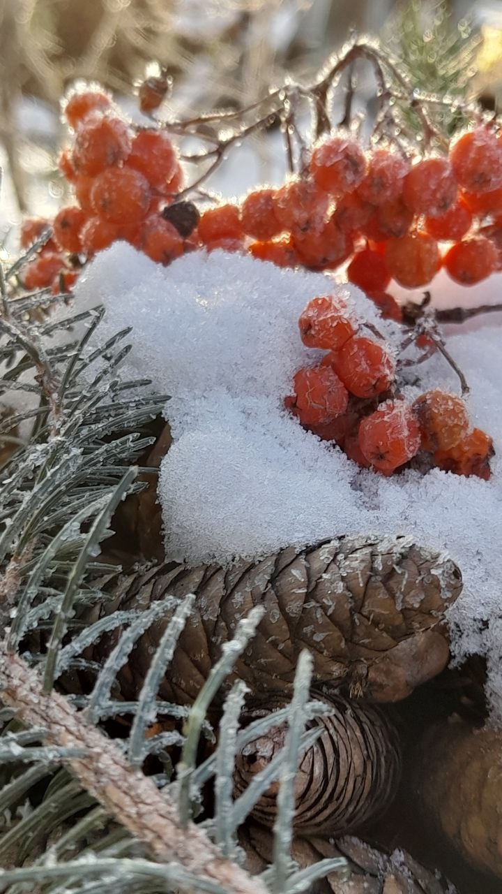 Доброе утро, Забайкалье! Сегодня – четверг, 30 октября Доброе утро, Забайкалье! Сегодня – четверг, 30 октября